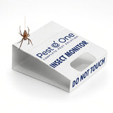 Spider and Crawling Insect Sticky Pads Non-Toxic Indoor Spider Catcher